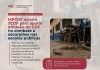 MPC/DF PEDE APURAÇÃO SOBRE RISCO DE ESCORPIÕES EM ESCOLAS PÚBLICAS DO DF